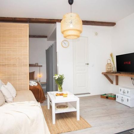 Apartamento Le Boheme, Cosy, Hypercentre Grenoble Exterior foto