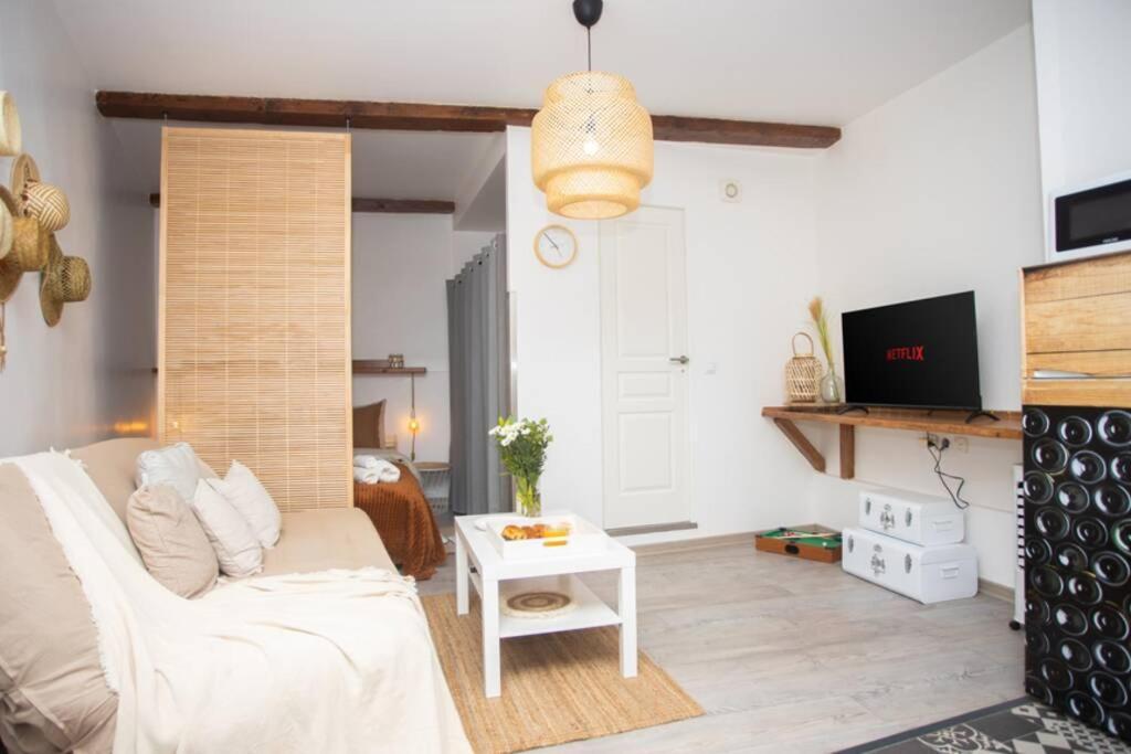 Apartamento Le Boheme, Cosy, Hypercentre Grenoble Exterior foto